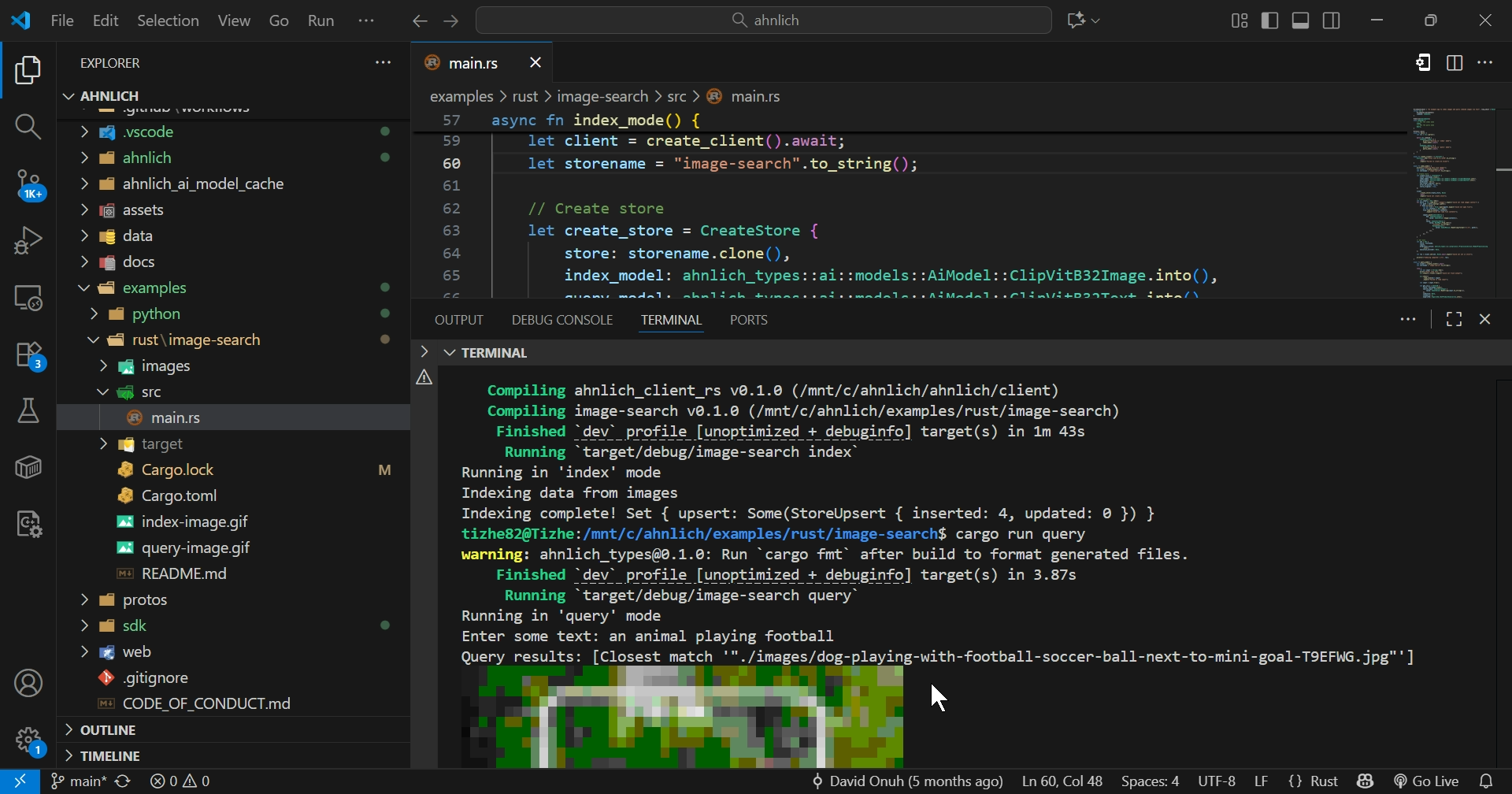 An architectural diagram of Ahnlich